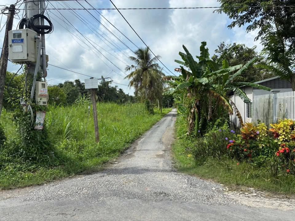 Đất vườn 1400m² tại phường Tân Hạnh, Vĩnh Long giá 1.8 tỷ - Nền cao ráo, gần chợ!