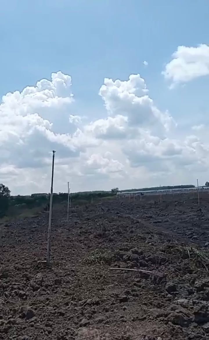 Đất nông nghiệp Tân Hội, Tân Châu 58127m² giá 5.5 tỷ - Pháp lý rõ ràng, đầu tư sinh lời!