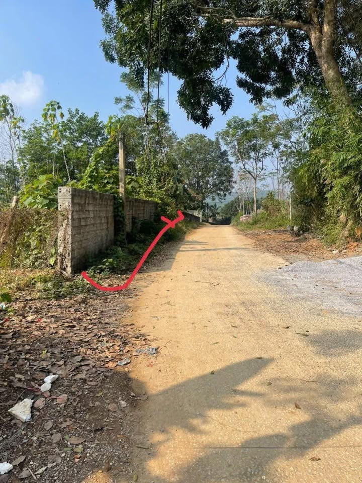 Đất thổ cư Thọ Bình, Triệu Sơn 1040m² giá thỏa thuận - Đường thông rộng, dân cư đông đúc