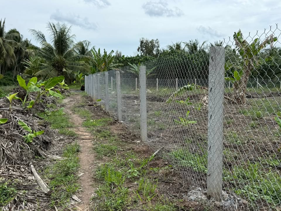 Đất vườn nghỉ dưỡng 1.267m² tại phường Nguyệt Hóa, giá chỉ 1.05 tỷ - Cơ hội đầu tư tuyệt vời!