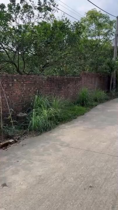 Đất nền Hiệp Hòa Bắc Giang 100m² giá 800 triệu - Cơ hội đầu tư sinh lời!