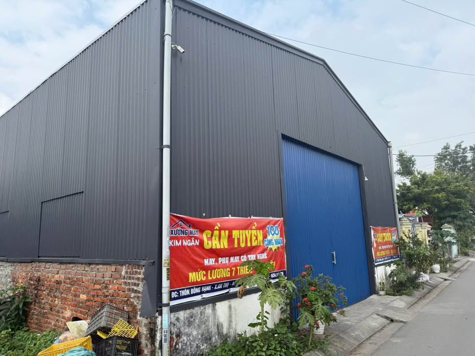 Đất nền An Hưng An Lão 108m² - Vị trí đẹp, sổ hồng chính chủ!