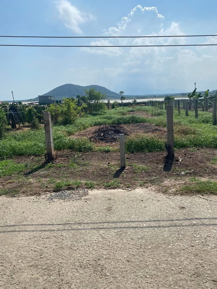 Đất nền 1000m² xã Tân Tiến, La Gi - Sở hữu ngay chỉ 900 triệu!