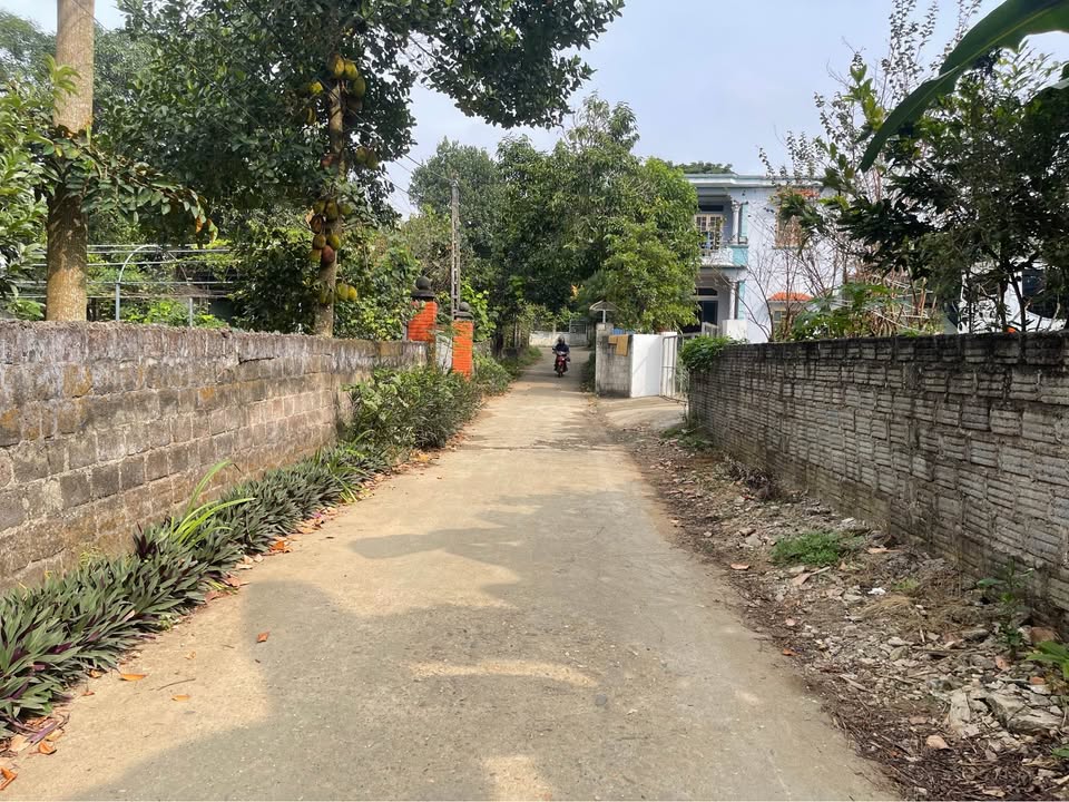 Đất nền Kim Phú Tuyên Quang 279m² giá 1.35 tỷ - Đầu tư sinh lời ngay!