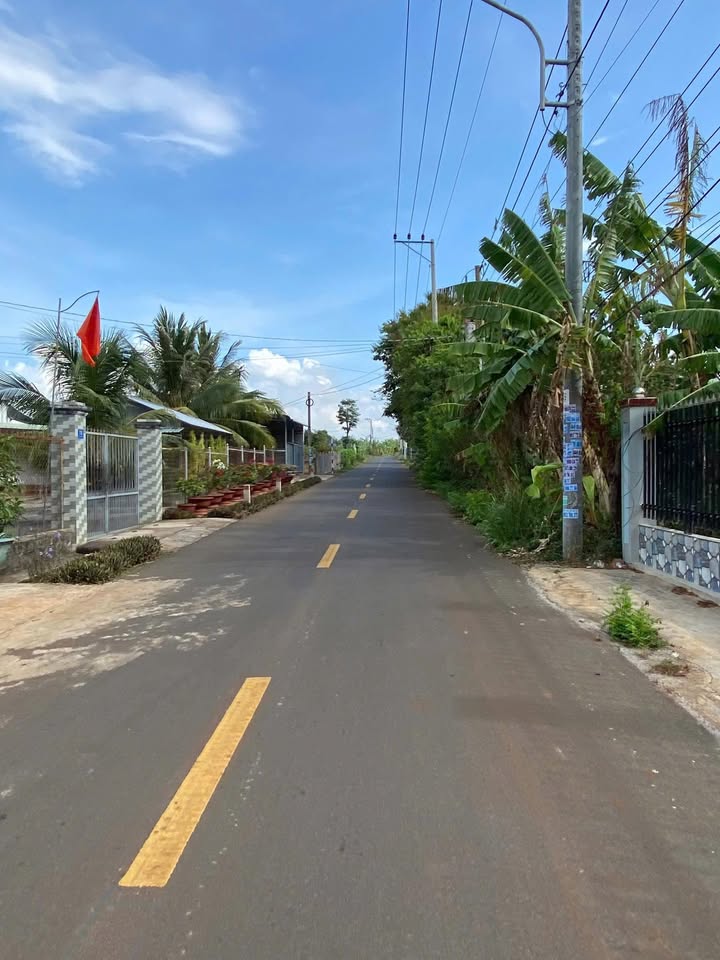 Đất nền Thị Trấn Đất Đỏ, Long Đất 1000m² giá 3.1 tỷ - Cơ hội đầu tư tuyệt vời!