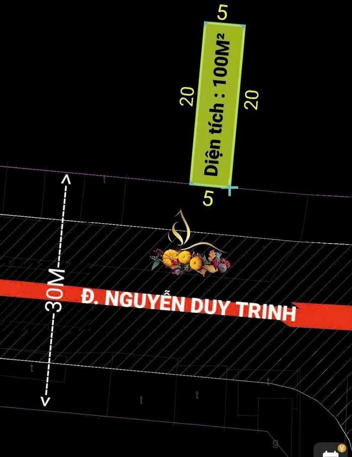 Bán đất mặt tiền Nguyễn Duy Trinh Quận 2, 100m² giá 24 tỷ - Giảm ngay 1 tỷ!