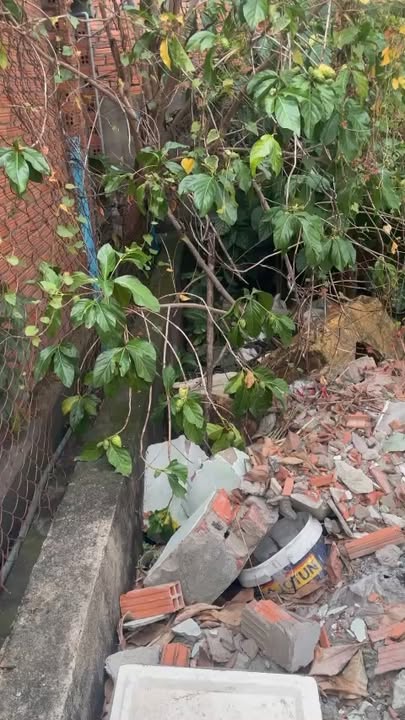 Đất nền Tân Phước Khánh 72m² giá thỏa thuận - Cơ hội đầu tư tuyệt vời!