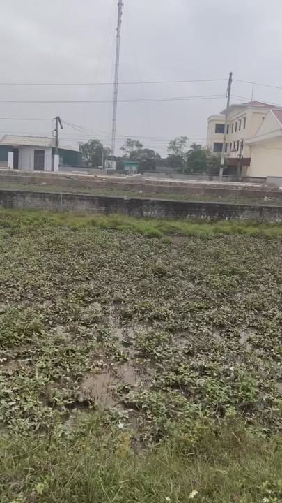 Đất thổ cư Quỳnh Trang 150m² giá thỏa thuận - Mặt tiền 10m, đường ô tô thông thoáng!