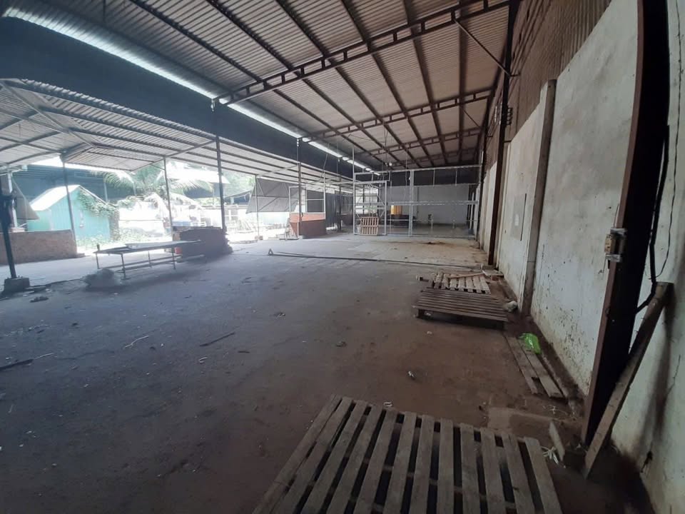 Xưởng 2 mặt tiền An Nhơn Tây, Củ Chi 1900m² giá 11.5 tỷ - Cơ hội đầu tư sinh lời!
