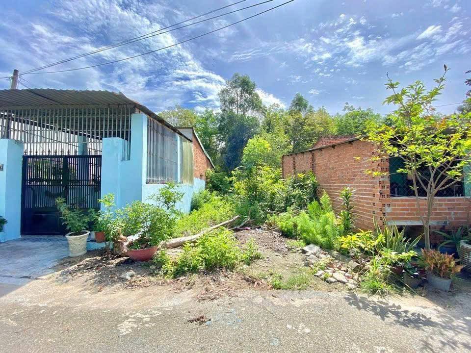 Đất nền xã Phước Vĩnh An, huyện Củ Chi, 129m² - Giá chỉ 2.5 tỷ thương lượng!