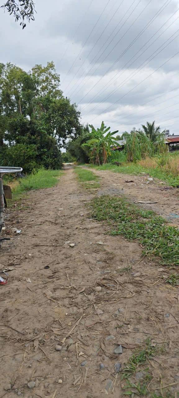 Đất nền xã Trung Lập Hạ, Củ Chi 210m² giá 499 triệu - Đầu tư thông minh!