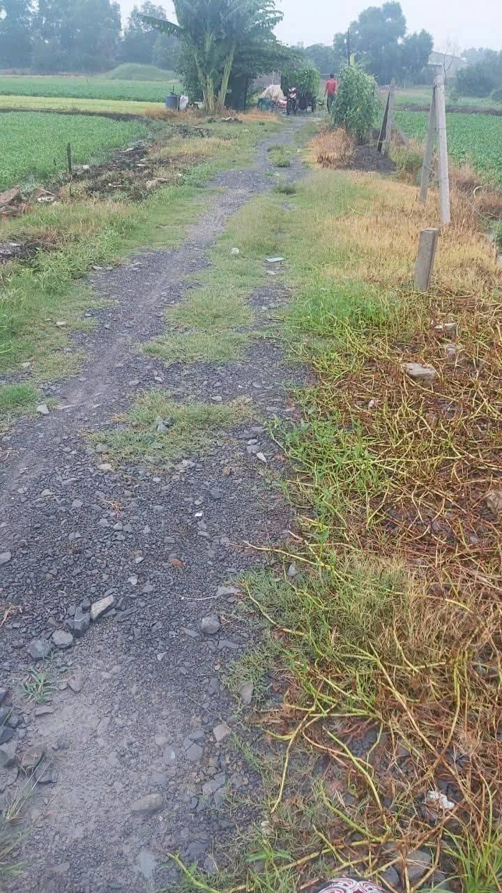 Đất nền Bình Mỹ Củ Chi 703m² giá 2.55 tỷ - Sổ đỏ chính chủ, đường thông thoáng!