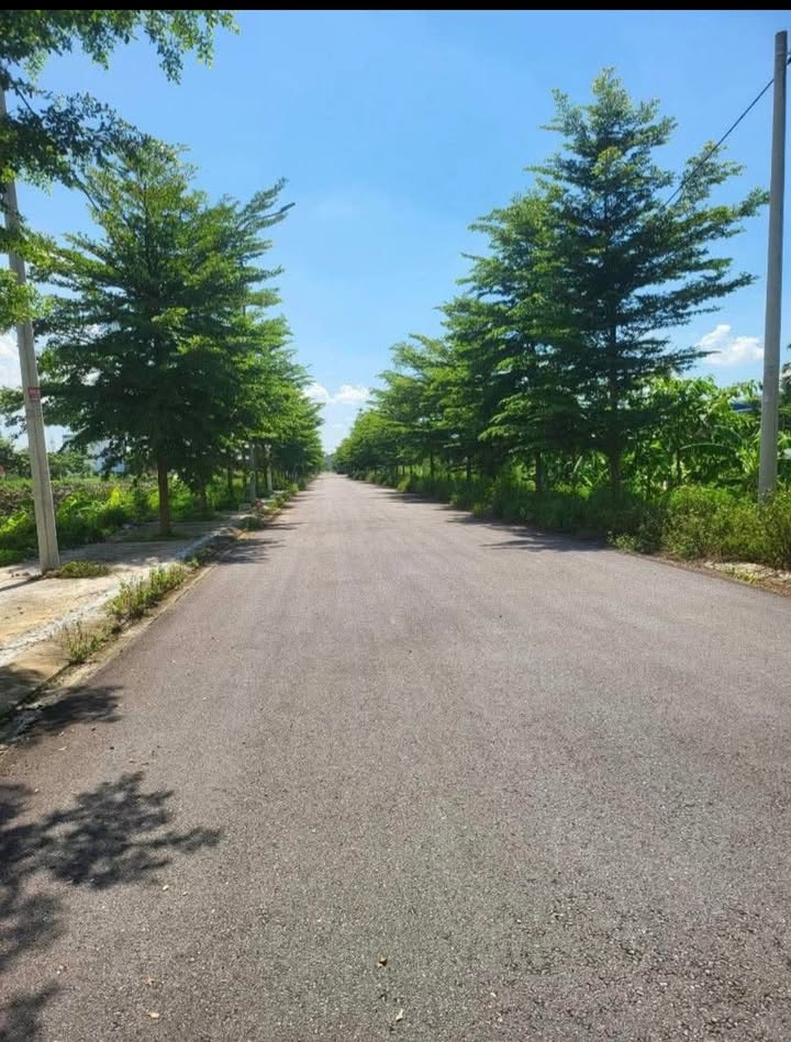 Đất nền Gia Vượng A7 126m² mặt tiền 6m - Cơ hội đầu tư hấp dẫn!