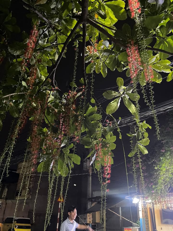 Nhà 1 Trệt 2 Lầu Phường An Phú 90m² giá 5.85 tỷ - Chính chủ bán gấp!