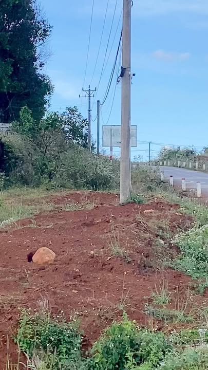 Đất nền góc Phan Bội Châu, Đức Cơ 324m² giá chỉ 1 tỷ - Cơ hội đầu tư tuyệt vời!