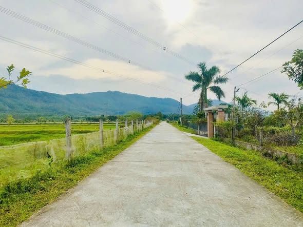 Bán lô đất thôn Quyết Tiến, Thạch Xuân 1000m² giá 2 tỷ - Đầu tư sinh lời tuyệt vời!