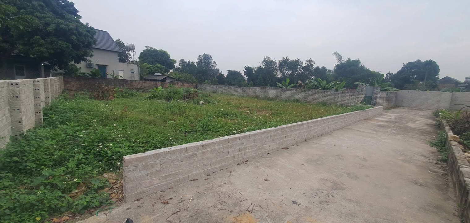 Đất nền Sơn Đông Sơn Tây 504m² giá 5.04 tỷ - Tiềm năng sinh lời cao!