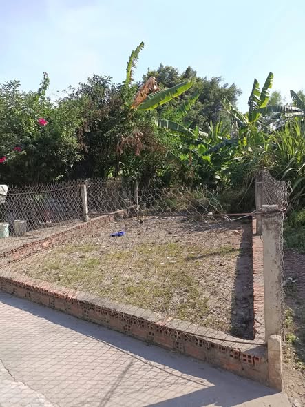 Đất nền Quy Đức, Bình Chánh 48m² giá 520 triệu - Đầu tư sinh lời nhanh chóng!