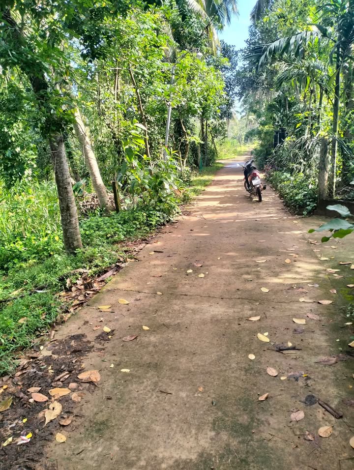 Đất vườn 1700m² khu An Lộc 2, Hoài Thanh - Giá chỉ 600 triệu VND