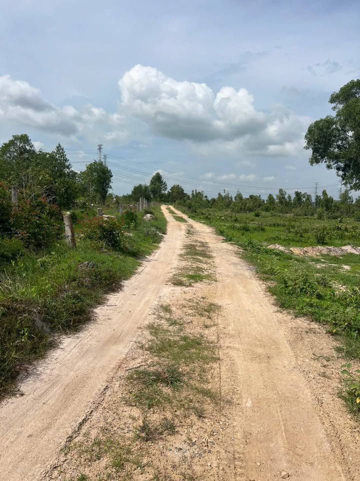 Đất thổ cư 3 sào thôn 2 xã Hàm Liêm giá 350 triệu - Đường ô tô 5m vào tận nơi!