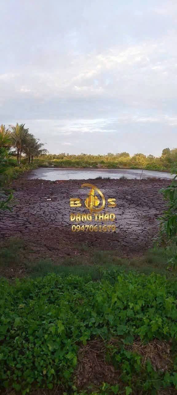 Đất nền đẹp tại Khánh Bình, Cà Mau 3900m² chỉ 3 tỷ - Đầu tư sinh lời ngay!