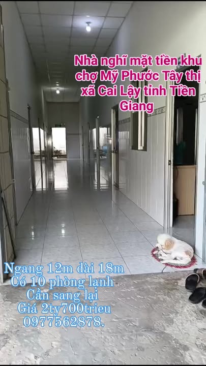 Nhà nghỉ mặt tiền đường nhựa tại Mỹ Phước Tây, Cai Lậy 216m² giá 2.7 tỷ - Cơ hội đầu tư hấp dẫn!