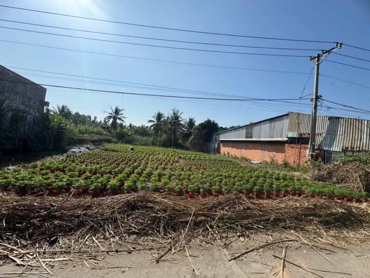 Đất nền Bình An Châu Thành 1118m² giá 2 tỷ - Tiềm năng phát triển lớn!