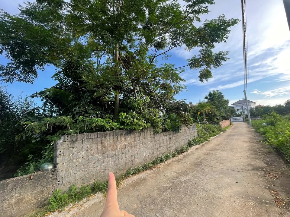 Đất thổ cư Tân Xã Thạch Thất 255m² giá chỉ 3x triệu - Đầu tư sinh lời ngay!