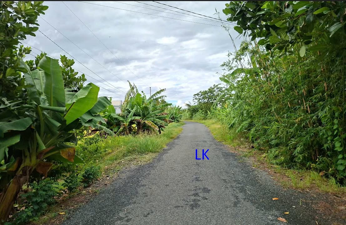 Đất lúa 2 mặt tiền xã Trường Xuân 8.700m² giá 1.566 tỷ - Cơ hội đầu tư tốt!