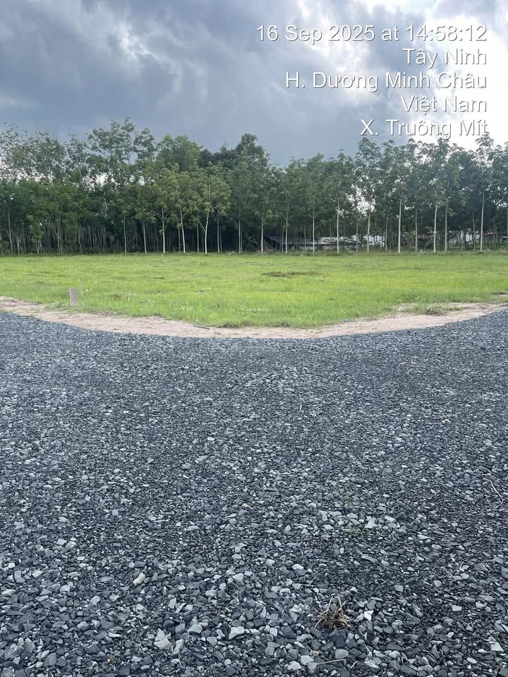 Đất nền chính chủ tại Truông Mít - Dương Minh Châu 180m² giá 399 triệu - Cơ hội đầu tư tuyệt vời!