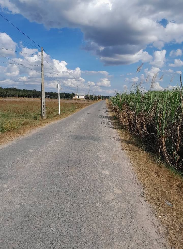 Đất mặt tiền đường Nhựa Tân Phong, Tây Ninh 200m² giá 249 triệu - Sổ hồng riêng, đầu tư sinh lời!