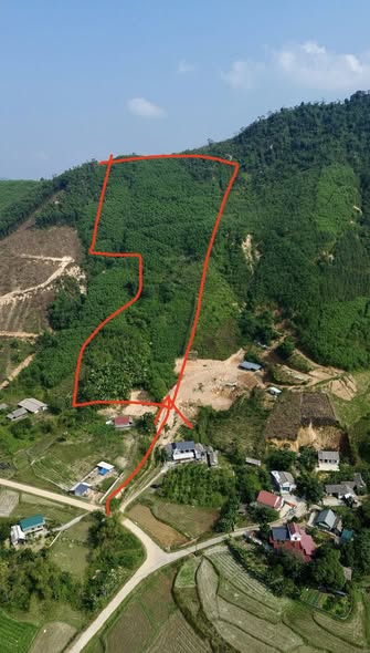 Đất Farm Mỹ Lương Yên Lập 30.000m² giá 300 triệu - Sổ đỏ chính chủ, đầu tư sinh lời!