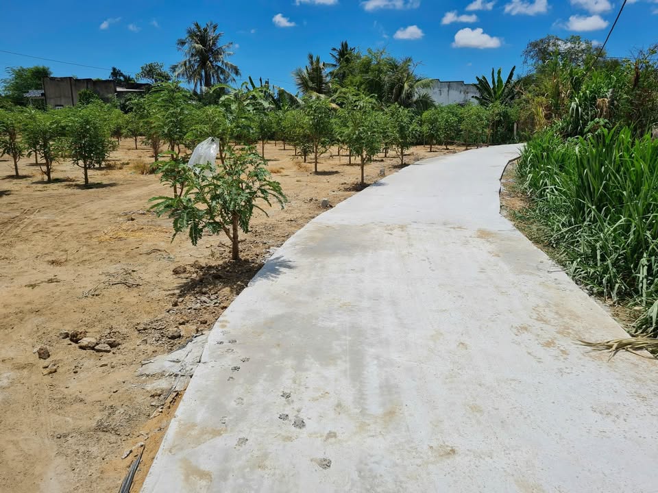 Đất nền Tân Trung Gò Công 150m² giá 350 triệu - Đường bê tông ô tô vào tận nơi!