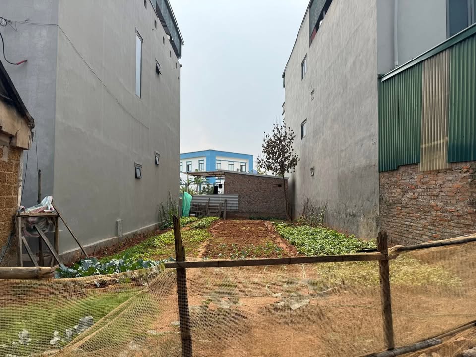 Đất thổ cư Thạch Thất 143m² giá thỏa thuận - Mặt tiền 7m, phù hợp xây nhà đẹp