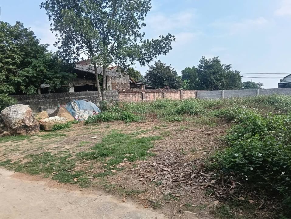 Đất nền Tản Lĩnh, Ba Vì 288m² - Giá chỉ 2 tỷ, sổ đỏ chính chủ!