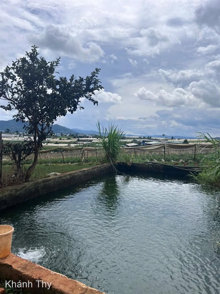 Đất nền Quảng Lập 9500m² giá 750 triệu - Đường bê tông, tiện ích ngay gần