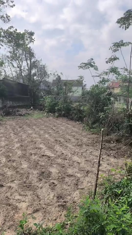 Đất nền Nghi Xuân 120m² giá chỉ 1.3 tỷ - Đầu tư sinh lời ngay!