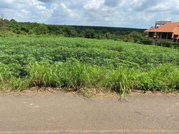 Đất thổ cư Láng Lớn Châu Đức 150m² giá 5 tỷ - Mặt tiền đường nhựa, view suối đẹp!