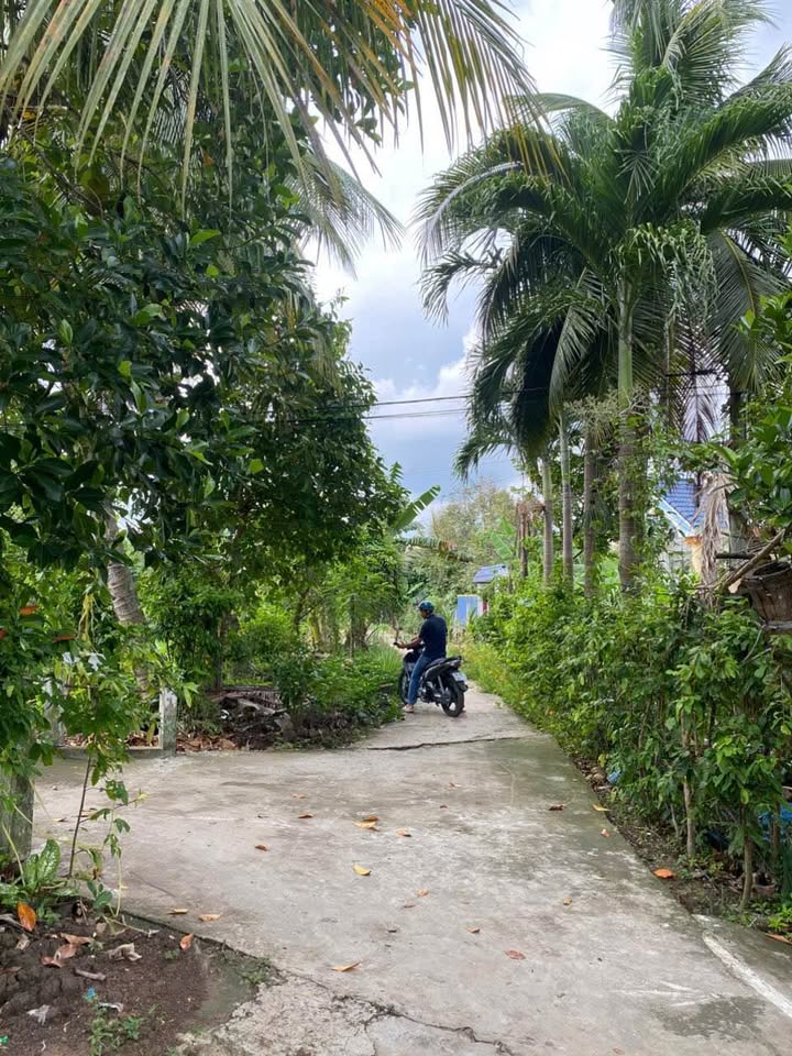 Đất nền Giai Xuân, Phong Điền 486m² - Giá chỉ 600 triệu, cơ hội đầu tư tuyệt vời!