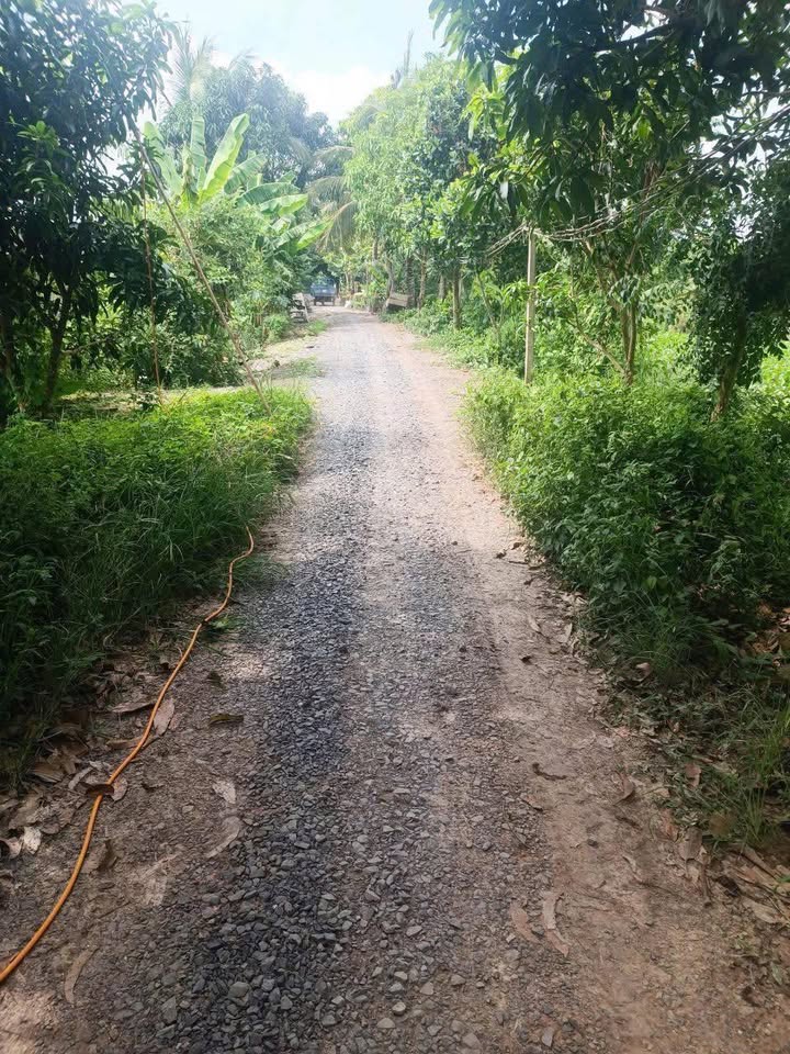 Đất ruộng 2450m² tại phường Mỹ Ngãi, huyện Cao Lãnh - Giá chỉ 580 triệu, thương lượng ngay!