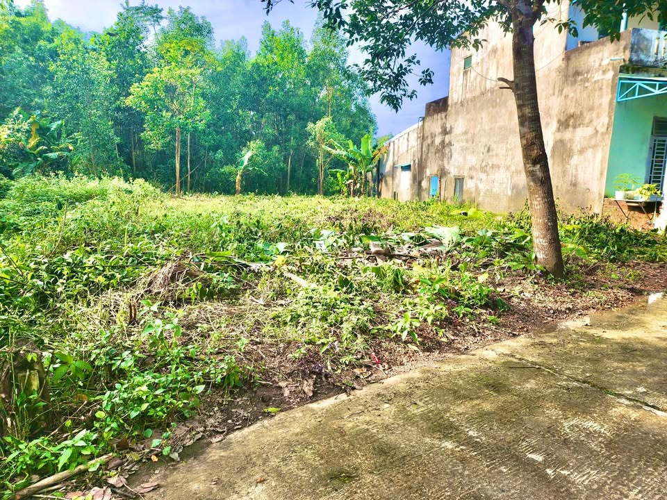 Đất ở Cẩm Toại Tây, Hòa Vang 190m² giá tốt - Cơ hội đầu tư hiếm có!