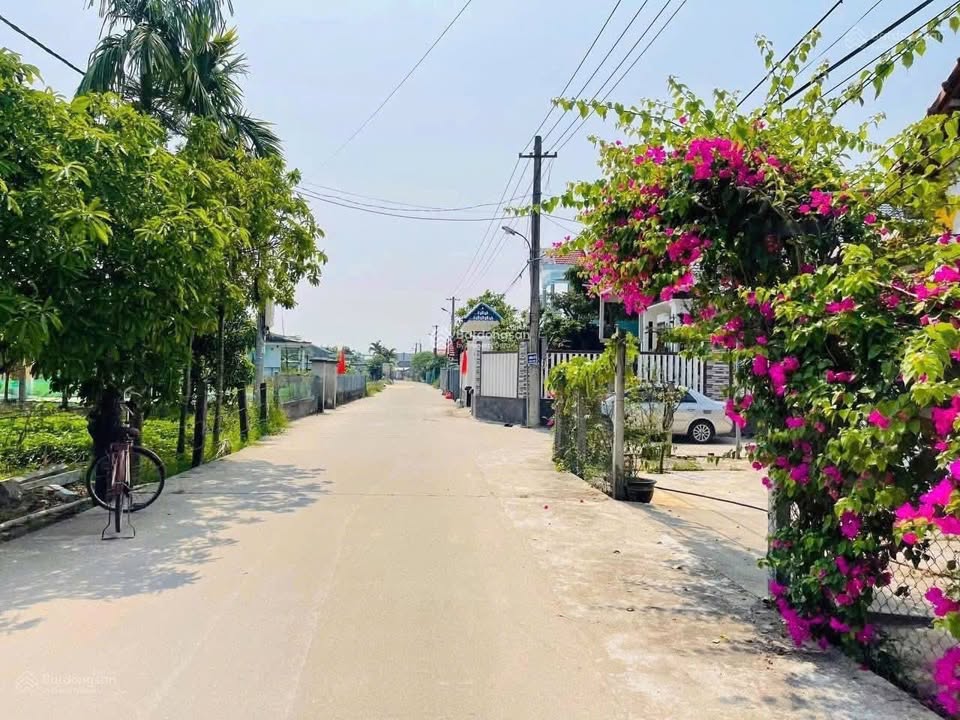 Đất trồng cây Bà Nà 440m² giá 500 triệu - Pháp lý rõ ràng, sẵn sàng giao dịch!