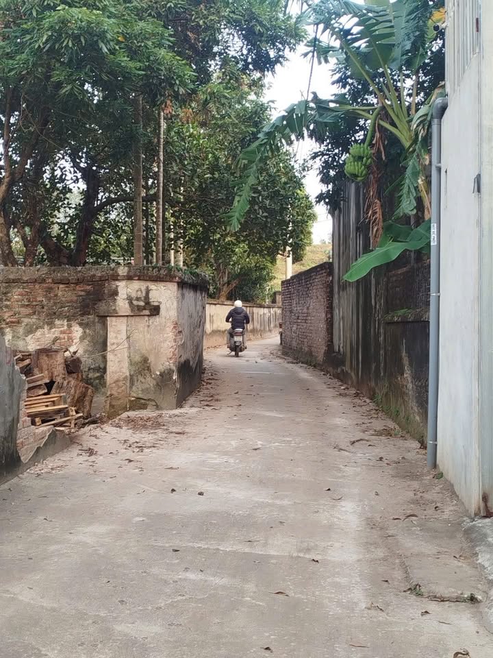 Đất nền Chương Dương Thường Tín 90m² giá 44 triệu - Đường ô tô đỗ cửa!