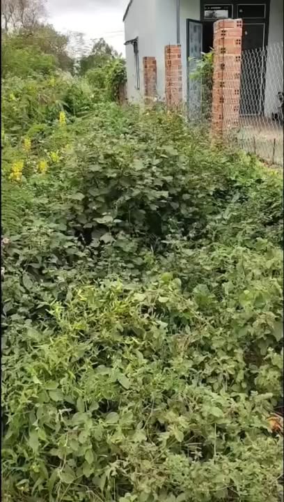 Đất nền Đắk Lắk 185m² giá chỉ 250 triệu - Cơ hội đầu tư tuyệt vời!