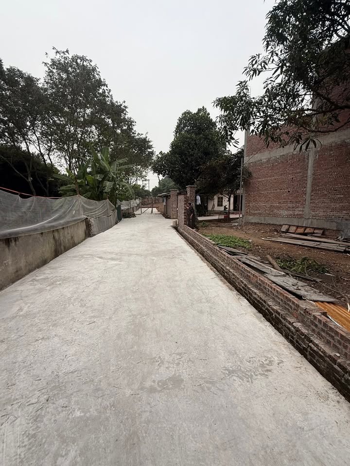 Đất nền Dữu Lâu, Việt Trì 176m² giá 3 tỷ - Đường ô tô vào tận đất!