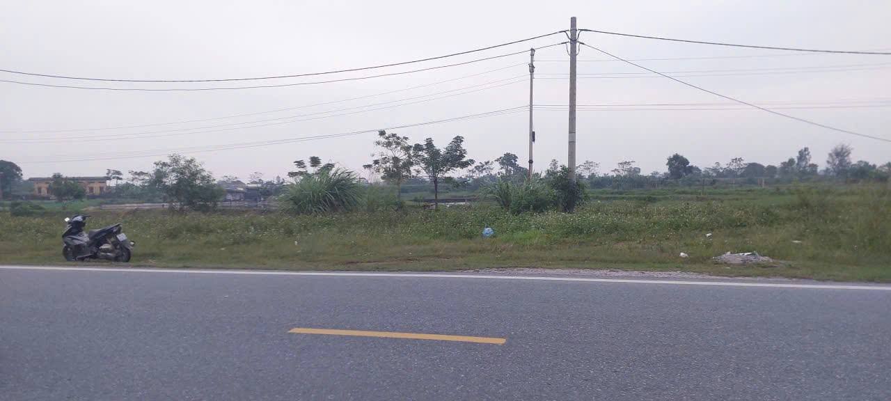 Đất nền liền kề Quốc lộ 10, xã Nga Thắng, 220m² - Vị trí đắc địa cho quán và xưởng