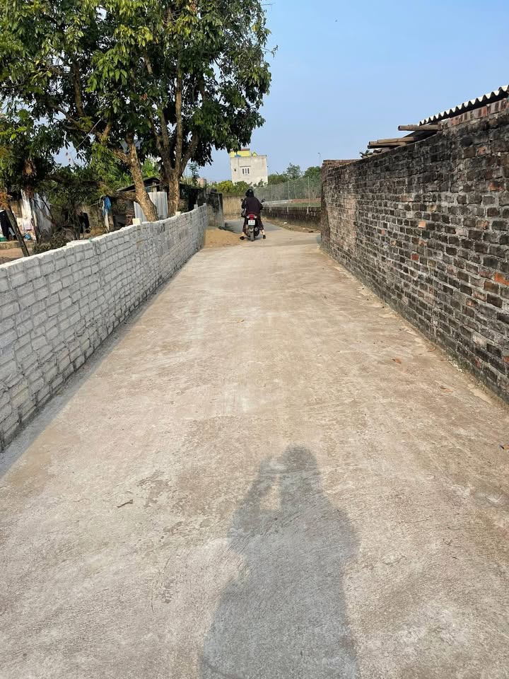 Đất thổ cư Đa Lộc Hậu Lộc 100m² giá 600 triệu - Đường ô tô vào thoải mái!