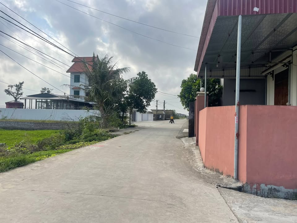 Đất thổ cư Thụy Hưng Thái Thụy 100m² - Khu vực dân cư đông đúc, giá tốt!