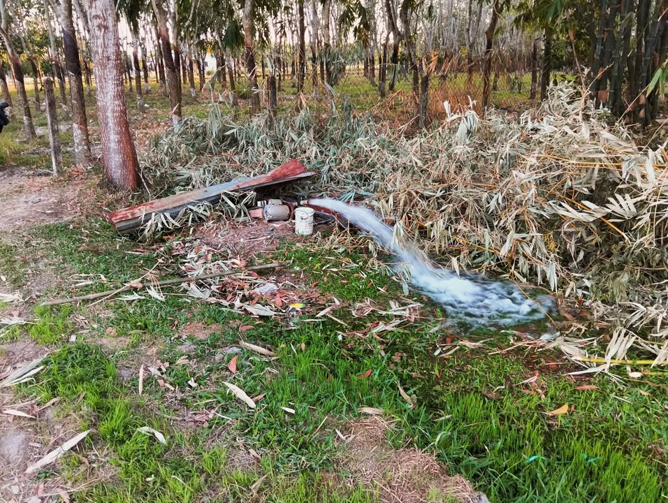 Đất nở hậu 29m tại xã Mới Bến Cầu Tây Ninh 800m² - Giá chỉ 300 triệu!