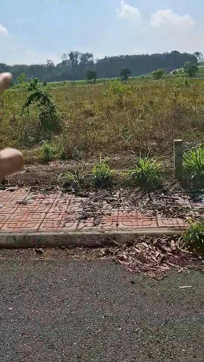 Lô đất mặt tiền nhựa 109m² tại Gò Dầu, Tây Ninh - Giá chỉ 575 triệu!